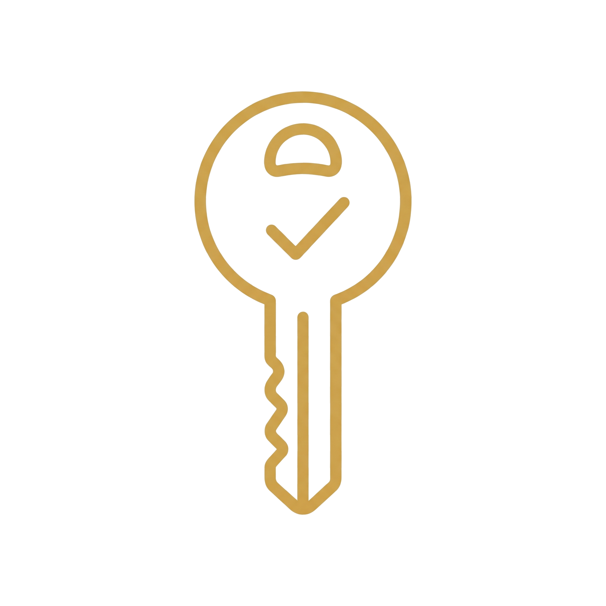 Key icon